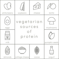 Wall Mural - Vegetarian sources of protein