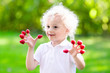 © famveldman - Child picking and eating raspberry in summer