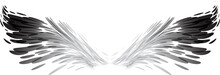 Abstract Black And White Wings