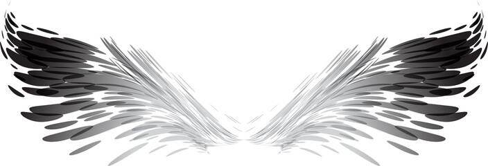 Abstract black and white wings