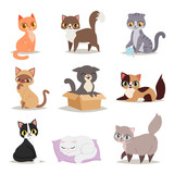 Fototapeta Koty - Cute cats character different pose vector