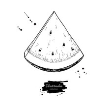 Watermelon Slice Vector Drawing. Isolated Hand Drawn Berry On Wh