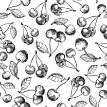 Cherry Vector Seamless Pattern. Isolated Hand Drawn Berry With L