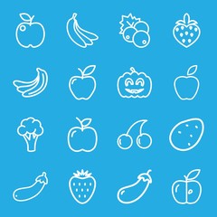 Wall Mural - Set of 16 ripe outline icons