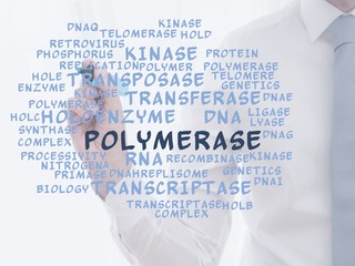 Wall Mural - Polymerase