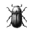 Black and white vector abstract beetle hand-drawn in the style of vintage etchings