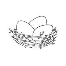 Vector Linear Illustration With Eggs In The Nest Isolated On White.