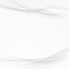 Wall Mural - Abstract transparent silver line background