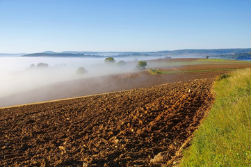 Poster - Burgund im Nebel  - Burgundy landscape in morning mist