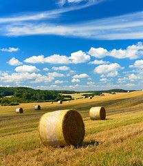 Wall Mural - Stoppelfeld mit Strohballen, Sommerlandschaft unter blauem Himmel, sanfte Hügel