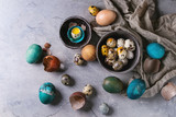 Fototapeta Desenie - Colored Easter blue brown chicken and quail eggs, whole and broken with yolk in shell in spotted plate and black bowls with textile over gray textured background. Top view with space