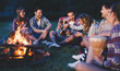 © NDABCREATIVITY - Happy friends playing music and enjoying bonfire