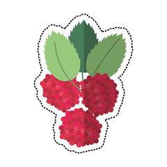 Canvas Print - cartoon raspberry natural diet icon vector illustration eps 10