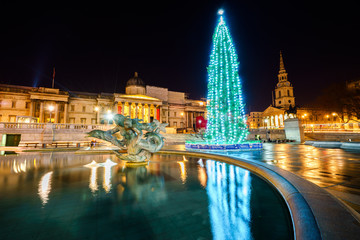 Sticker - Trafalgar Square illuminated with Christmas tree in London