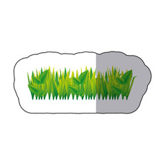 Poster - color grass with leaves icon, vector illustraction design image