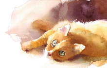 Watercolor Ginger Tabby Cat Laying Down Hand Drawn Pet Portrait Illustration 