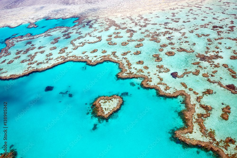 Heart Reef Whitsundays - obrazy, fototapety, plakaty 