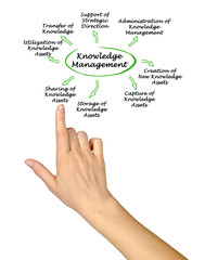 Wall Mural - Knowledge Management