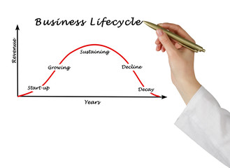 Poster - Business lifecycle