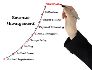 Canvas Print - Diagram of Revenue  Management