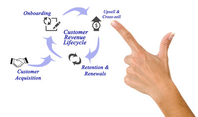 Canvas Print - Diagram of Customer Revenue Lifecycle