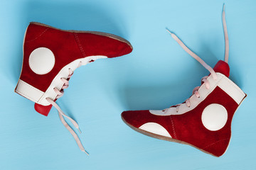 beautiful red athletic shoes on a blue floor