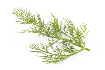 Wall Mural - Fresh dill on the white background.