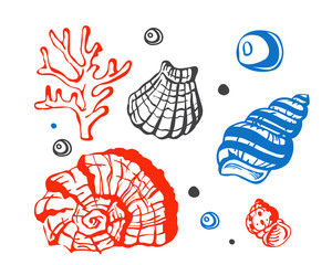 Poster - Sea marine shells hand drawn sketch vector illustration.