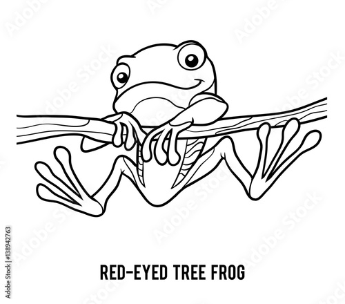Coloring book, Red-eyed tree frog Stock Vector | Adobe Stock