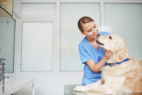 Fotografie, Obraz Young female veterinarian in blue uniform hugging and talking to white fluffy la