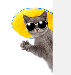 Poster - Cat in sunglasses and hat peeking from behind empty board and waving his paw. isolated on white background