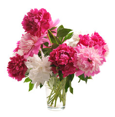 Wall Mural - bouquete of colorful peonies