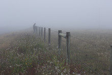 Barbed Wire Fence In Mist
