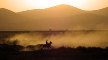 A Man Riding Horse Silhouette