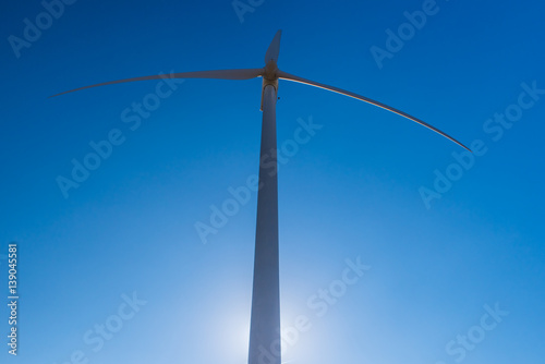 Fotografie, Obraz Many wind machines in the desert with cloudy skys