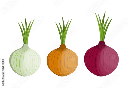 Fotomural set Fresh Vegetable Onion isolated icon