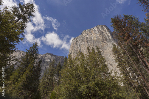 El Capitan - Looking high into the face of El Capitan in Yosemite Poster