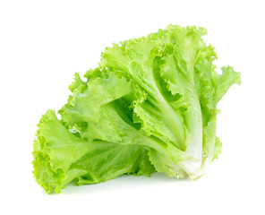 Sticker - Fresh lettuce isolated on white background