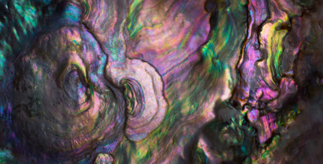 Wall Mural - high magnification macro of pearl shell.