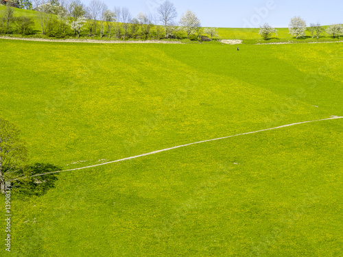 Fotografering Undulating landscape Mostviertel dandelion pasture, Austria, Low