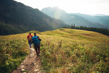 two hikers walking down a trail in the wilderness