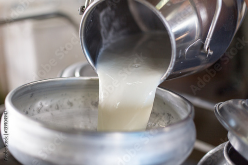 Fotomural Worker pouring milk into a container for transform.