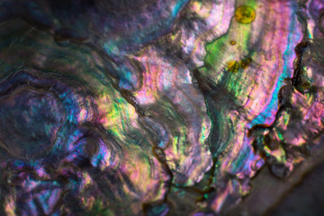 Wall Mural - high magnification macro of pearl shell.