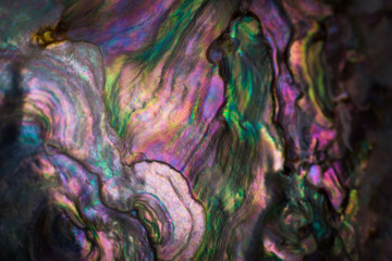 Wall Mural - high magnification macro of pearl shell.