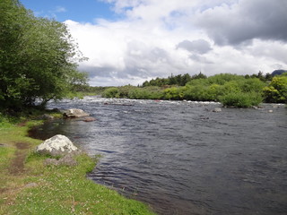 River Scene