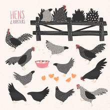 Vector Set Of Various Hens And Roosters