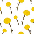 Seamless pattern coltsfoot flowers, vector