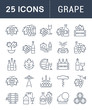 Set Vector Flat Line Icons Grape