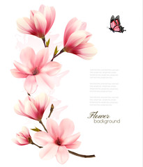 Poster - Beautiful pink magnolia background. Vector.
