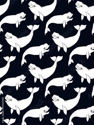 Fotografie, Tablou seamless pattern with white whale (beluga)